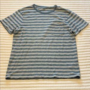 Madewell Blue and White Striped Tee